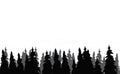 Forest silhouette trees black and grey Royalty Free Stock Photo
