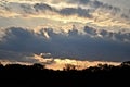 Forest silhouette under a cloudy sky during a beautiful sunset - a cool picture for backgrounds Royalty Free Stock Photo