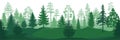 Forest silhouettes. Wild nature wood backgrounds, green pine trees firs and spruces landscape. Vector park backdrop