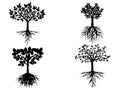 Forest Silhouettes Of Wonderful Long Roots Tree Collection Set Vector Art Design