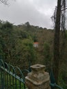 Forest in Sintra- Portugal-Europe Royalty Free Stock Photo