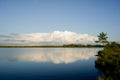 Forest and sky reflection in the swamp Royalty Free Stock Photo