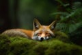 Forest sleeping fox. Generate Ai Royalty Free Stock Photo