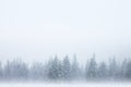 Forest in snow background Royalty Free Stock Photo