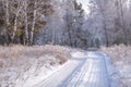 Forest snow frost birch road winter Royalty Free Stock Photo