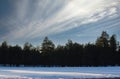 Forest with snow on the ground and clouds in the sky, Flagstaff, Arizona. Royalty Free Stock Photo