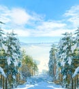 Forest, snow and landscape in mountains in winter for ski vacation in Canada for explore, holiday or journey. Woods Royalty Free Stock Photo