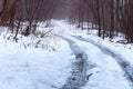 Forest, snow, trail, winter, slippery, trees Royalty Free Stock Photo