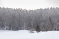 Forest. Snow. Winter. Snowing. Cold. Mountain. Landscape Royalty Free Stock Photo