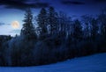 Forest on snowy hillside at night Royalty Free Stock Photo