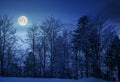 Forest on snowy hillside at night Royalty Free Stock Photo