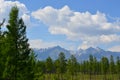 Forest, snowy mountains and clouds on blue sky - siberian alps Royalty Free Stock Photo