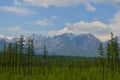 Forest, snowy mountains and clouds on blue sky - siberian alps Royalty Free Stock Photo