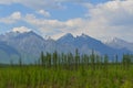 Forest, snowy mountains and clouds on blue sky - siberian alps Royalty Free Stock Photo