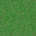 Forest Soil. Seamless Texture. Royalty Free Stock Photo