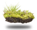 Forest soil on white Royalty Free Stock Photo