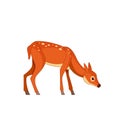 Forest spotted deer in standing pose bending to the ground. Wildlife of forest mammals concept. Cartoon vector