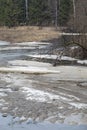 Forest spring landscape of the river with ice floes Royalty Free Stock Photo