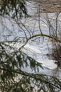 Forest spring landscape of the river with ice floes Royalty Free Stock Photo