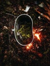 Forest Spruce Tea, Pine Tea, Camping, Outdoor