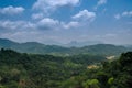 Forest in sri lanka