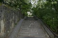 Forest stairs Royalty Free Stock Photo