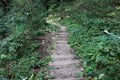 Forest stairs - Jankovac, Papuk, Croatia Royalty Free Stock Photo