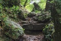 Forest stairs - Jankovac, Papuk, Croatia Royalty Free Stock Photo