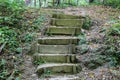 Forest stairs - Jankovac, Papuk, Croatia Royalty Free Stock Photo