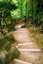 Forest stairway Royalty Free Stock Photo