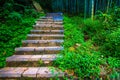 Forest Stairway of Shisun China Royalty Free Stock Photo