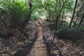 Forest stairway in Sri Lanka. Walking down from the Pidurangala Rock.