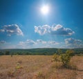 Forest steppe landscape