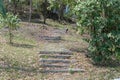 Stone stairs in spring