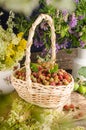 Forest strawberries in a basket on a wooden table with wildflowers, summer still life Royalty Free Stock Photo