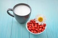 Forest strawberries in white bowl, chamomile flower, milk in cup on light blue wooden background, top view. copy space. Delicious Royalty Free Stock Photo