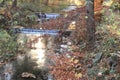 Forest stream in autumn. Cascade creek. Golden Mountains tourist region in the Czech Republic.