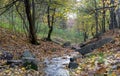 Forest stream in the autumn forest. Leaf fall, river with large boulders. Royalty Free Stock Photo