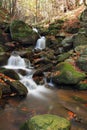 Forest stream in autumn light