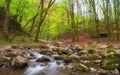 Forest stream, Cuha creek/brook in Bakony Mountains, Hungary