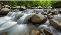 Forest stream with a cascading waterfall, surrounded by greenery and rocks