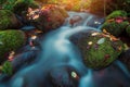 Forest stream in fall, long exposure Royalty Free Stock Photo