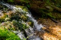 Forest stream, fast water flow