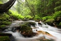 forest stream flowing down from the mountain slope a brook over stones covered with moss among spring beech trees of pradziad is Royalty Free Stock Photo