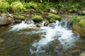 Forest stream with green vegetation in the river banks and rocks covered with moss Royalty Free Stock Photo