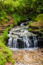 Forest stream `Gremuchiy ruchey` - Natural landmark