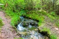 Forest stream Gremuchiy ruchey