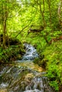 Forest stream Gremuchiy ruchey