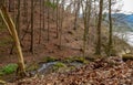 Forest stream, lake Gruyere