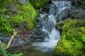 Waterfall among mossy rocks and greenery. Mountain river on summer day. Nature landscape with